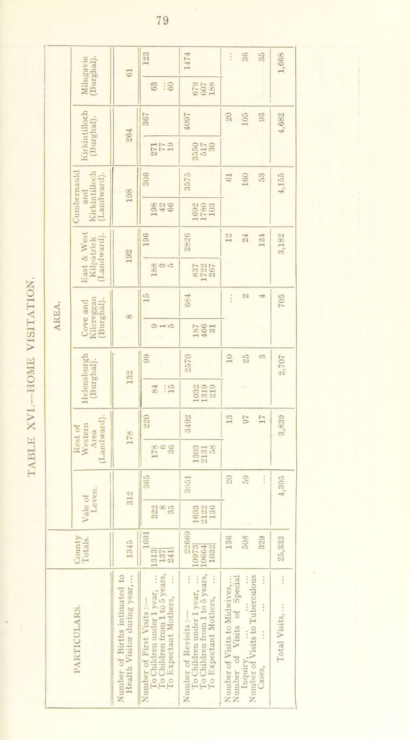 TABLE XVI.—HOME VISITATION.