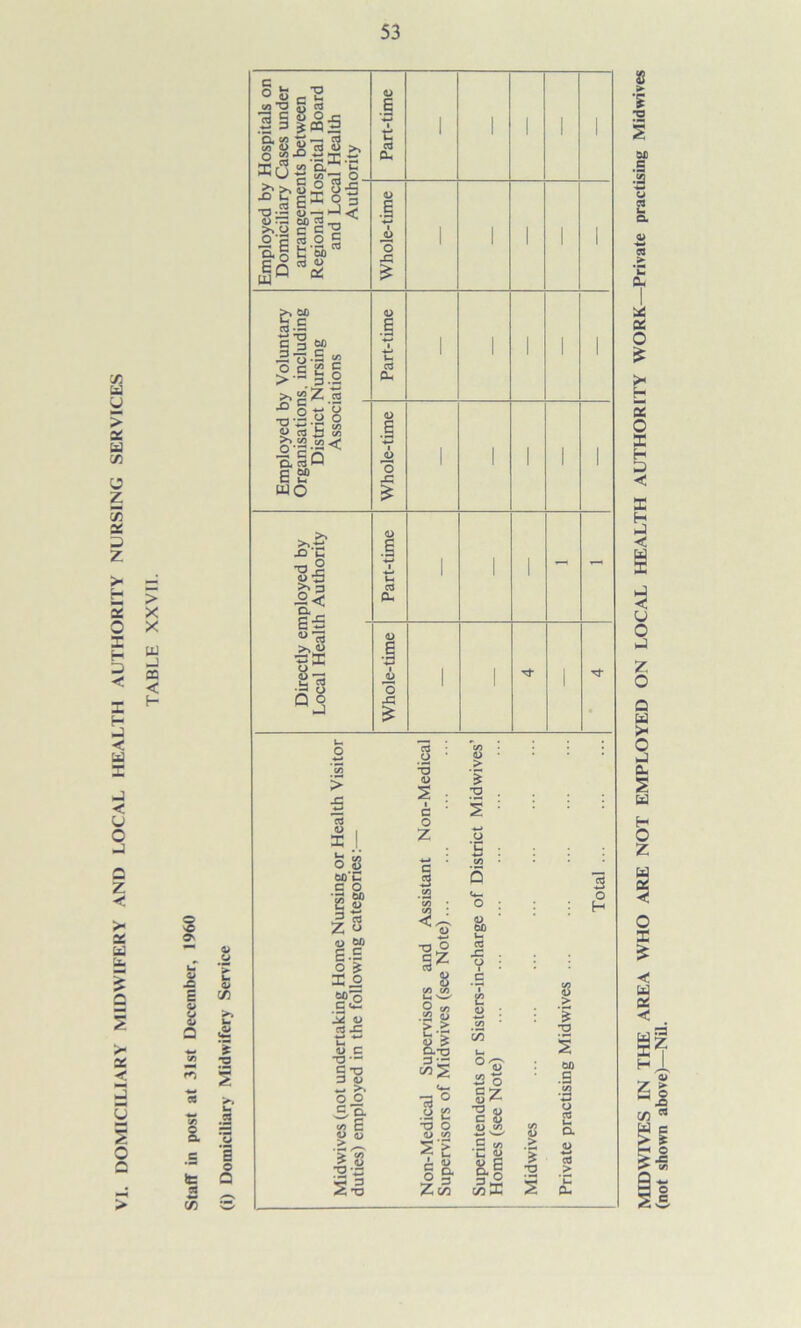 VI. DOMICILIARY MIDWIFERY AND LOCAL HEALTH AUTHORITY NURSING SERVICES (not shown above)—Nil.