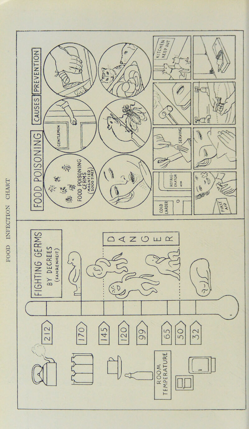 FOOD INFECTION CHART