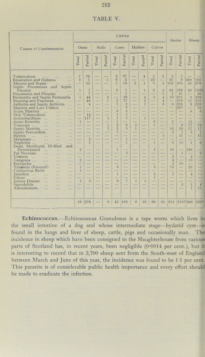 TABLE V. Cattle Swine Sheep Causes cf Condemnation Oxen Bulls Cows 1 Heifers Cal vet Total Partial Total Partial Total Partial Total i! S- 1 « ; H- Total ee T m S © Partial | Tuberculosis 7 79 2 37 _ j 4 1 2 5 3 Emaciation and Oedema 2 1 — i 6 2 — — 23 — 37 9 298 105 Abscess and Sepsis Septic Pneumonia and Septic — 53 — — 1 14 2 i 8 4 102 464 43 279 j Pleurisy i 7 — — 2 1 — i 0 ■i 64 264 48 1029: Pneumonia and Pleurisy — 7 — — — 1 — — — i o 91 40 Peritonitis and Septic Peritonitis i 44 — 3 — 30 — 4 5 4 16 281 8 209 Bruising and Fractures ... — 48 — 1 2 37 — 3 — 4 316 n 231 Arthritis and Septic Arthritis ... — 4 — — i 2 — 1 — 6 6 293 6 229 I Mastitis and Lact Udders 0 — — 297 55 ( Acute Mastitis — — — — o 4 — — — — — 9 4 St<in Tuberculosis — 14 — — l o — — — Actinobacillosis ... — 117 — 1 1 5 — 1 Acute Enteritis ... i — — — l — — — — 12 Tumours ... — — — 1 2 6 2 — 1 — * 2 17 3.4 Septic Metritis ... — — — 1 5 3 I — 10 26 17 17 | Septic Pericarditis 1 2 1 3 1 Hernia — — — — — — — — — i — 51 — 41 Melanosis... — 2 1 Nephritis ... Dead, Moribund, Ill-Bled and — 1 — — 1 — — 1 — 5 13 1 6 Decomposed 2 — — — 1 — — — 4 — 18 — 166 I Fat Necrosis — — — — — 3 — — — — — 1 — 2 j Urtemia ... — — — — — — — — — — 2 — o Gangrene ... o — — — — — — — — — 4 — 13 Erysipelas — — — — — — — — — — 38 — — j Toxaemia (Fevered) i — — — 3 — — — 5 — 18 — 26 — Cvsticcrcus Bovis i — jaundice ... — — — — 1 — — — 5 — 5 — 4 — Odour 1 Johnes Disease ... i 2 — — 6 7 i 1 — 1 Spondylitis 5 1 4 Adenomatosis 1 n 10 379 — 8 42 165 6 16 66 25 314 2157 690 2297 Echinococcus.—Echinococcus Granulosus is a tape worm which lives in the small intestine of a dog and whose intermediate stage—hydatid cyst—is found in the lungs and liver of sheep, cattle, pigs and occasionally man. The incidence in sheep which have been consigned to the Slaughterhouse from various parts of Scotland has, in recent years, been negligible (0-0014 per cent.), but it is interesting to record that in 3,700 sheep sent from the South-west of England between March and June of this year, the incidence was found to be 1-1 per cent. This parasite is of considerable public health importance and every effort should be made to eradicate the infection.