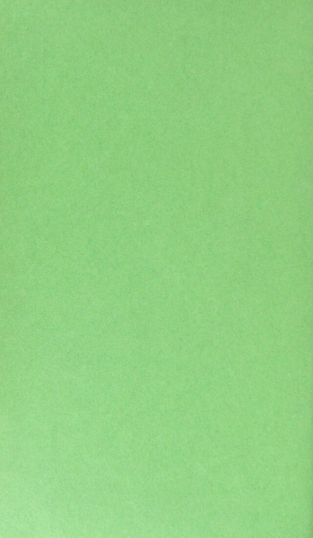 digitised image 2