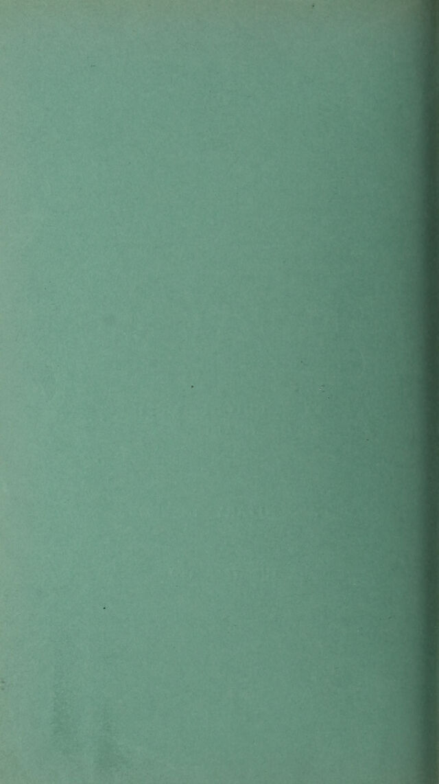 digitised image 2