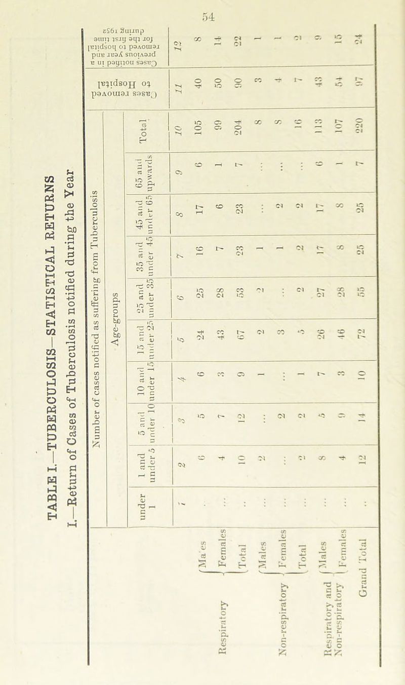 TABLE I.—TUBERCULOSIS—STATISTICAL RETURNS —Return of Cases of Tuberculosis notified during the Year