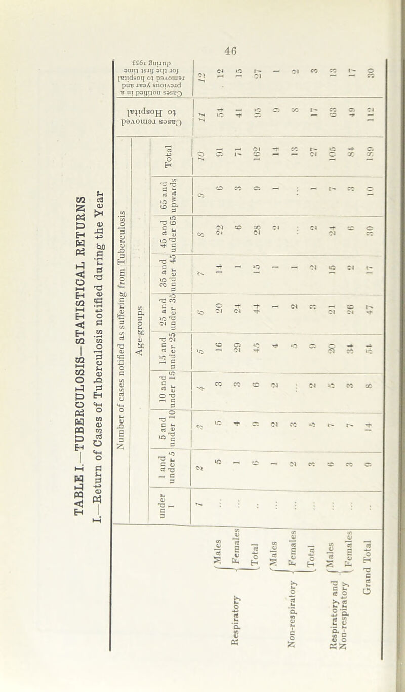 TABLE I.—TUBERCULOSIS-STATISTICAL RETURNS —Return of Cases of Tuberculosis notified during the Year