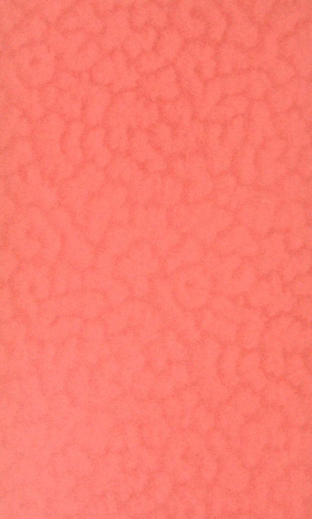 digitised image 2
