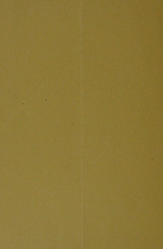 digitised image 2