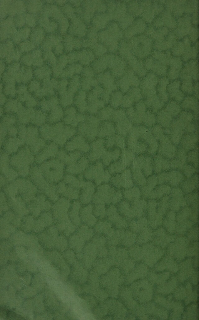 digitised image 2