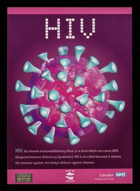 HIV : HIV, the Human Immundeficiency Virus, is a virus which can cause AIDS ...  / Camden & Islington Gay Men's Team, part of London Gay Men's HIV Prevention Partnership, Camden Primary Care Trust Health,  MetroM8.