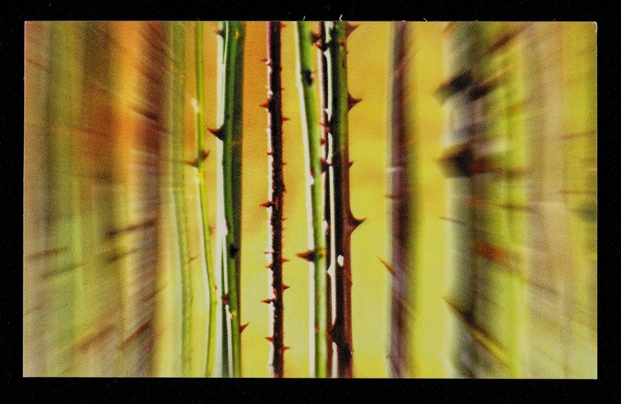 Initiate safer sex : name: tel no: / GMFA ; photo by Gordon Rainsford.