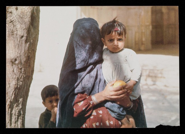 No text description is available for this image