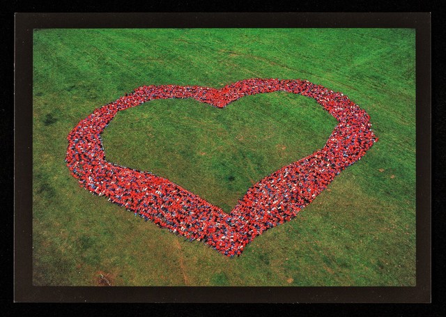 No text description is available for this image