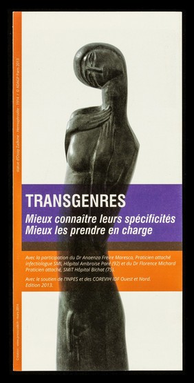 Transgenres : mieux connaître leurs spécificités, mieux les prendre en charge / ARCAT, COREVIH Ile de France Nord, COREVIH Ile de France Ouest ; avec la particiaption du Dr. Anaenza Freire Maresca ... et du Dr. Florence Michard.