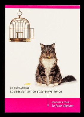 Conduite à risque : laisser son minou sans surveillance : conduite à tenir : se faire dépister / SNEG, santé & prévention.