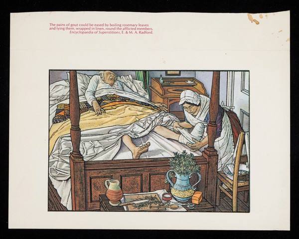 The pains of gout could be eased by boiling rosemary leaves and tying them, wrapped in linen, round the afflicted members. Encyclopaedia of Superstitions, E. & M. Radford : 'Zyloric' Allopurinol.