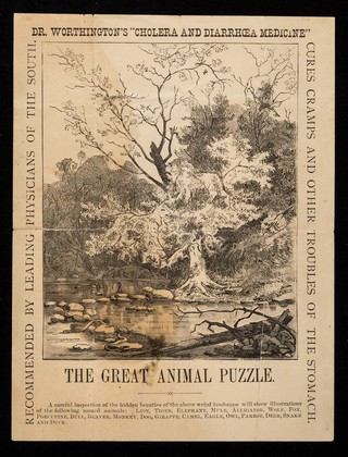 Dr. Worthington's "Cholera and Diarrhoea Medicine" : the great animal puzzle.