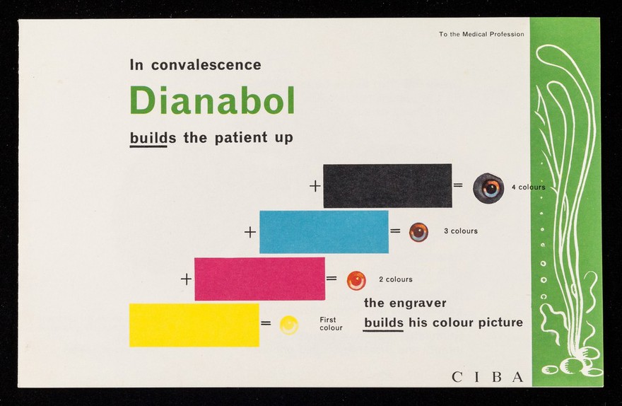 In convalescence Dianabol builds the patient up : the engraver builds his colour picture : Siamese fighting fish.