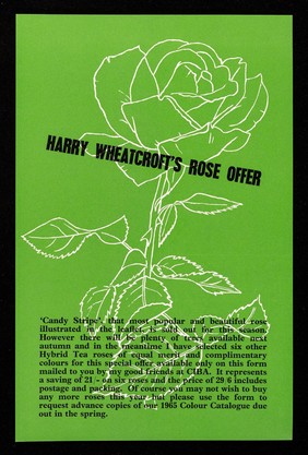 Harry Wheatcroft's rose offer : 6 hybrid teas (cat. value 50'6) 29'6.