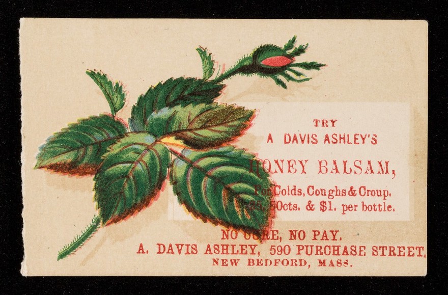 Try A. Davis Ashley's Honey Balsam, for colds, coughs & croup.