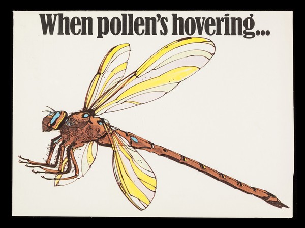 When pollen's hovering... : Rynacrom : disodium cromoglycate for hay fever.