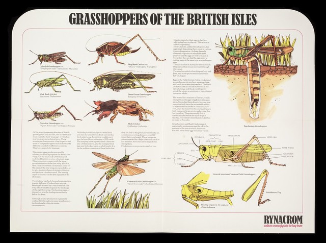 digitised image 3