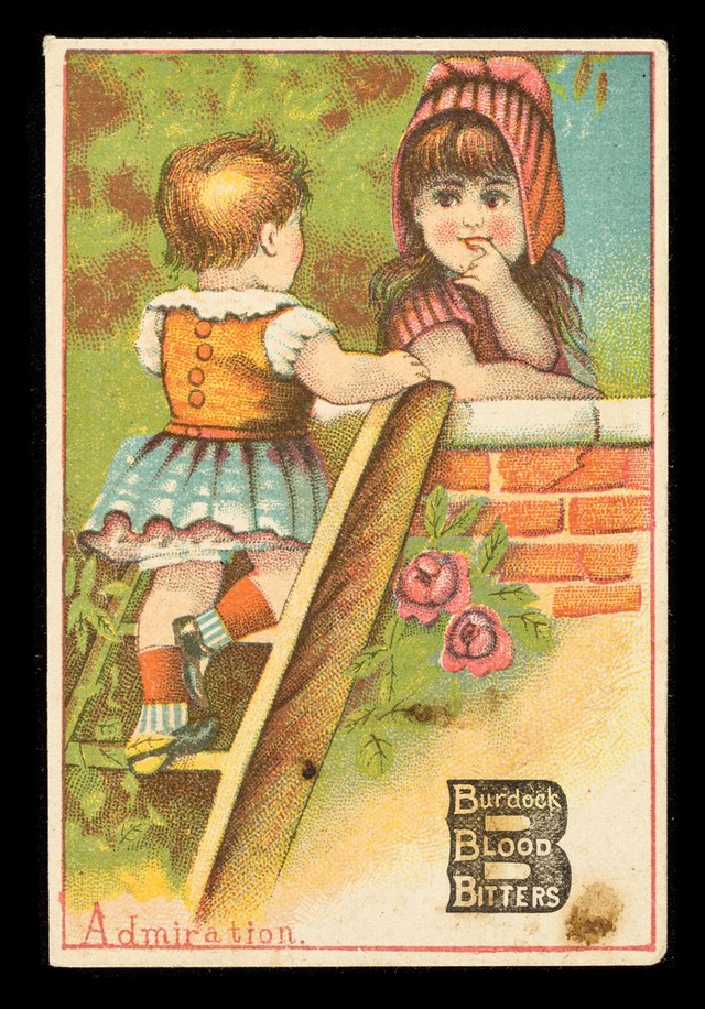 No text description is available for this image