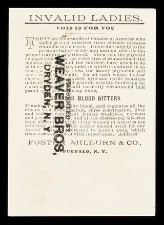 Burdock Blood Bitters : invalid ladies : this is for you.