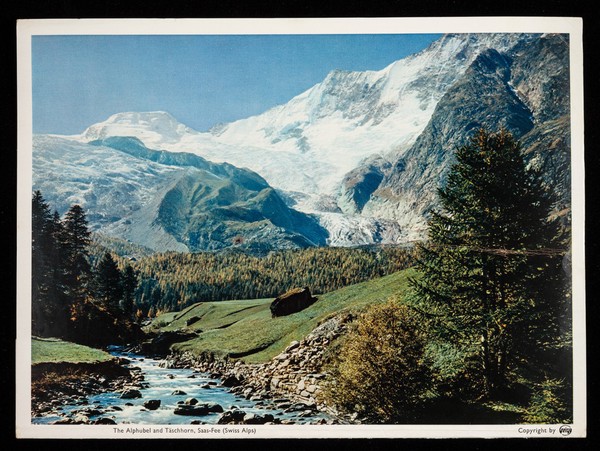 Steroxin antibacterial and antifungal ointment : the Alphubel and Täschhorn, Saas-Fee (Swiss Alps).