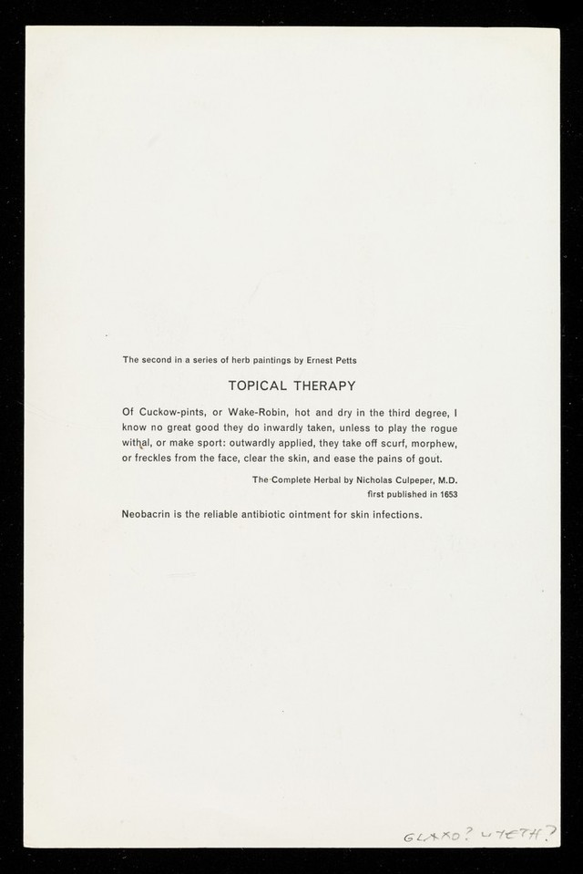 digitised image 2
