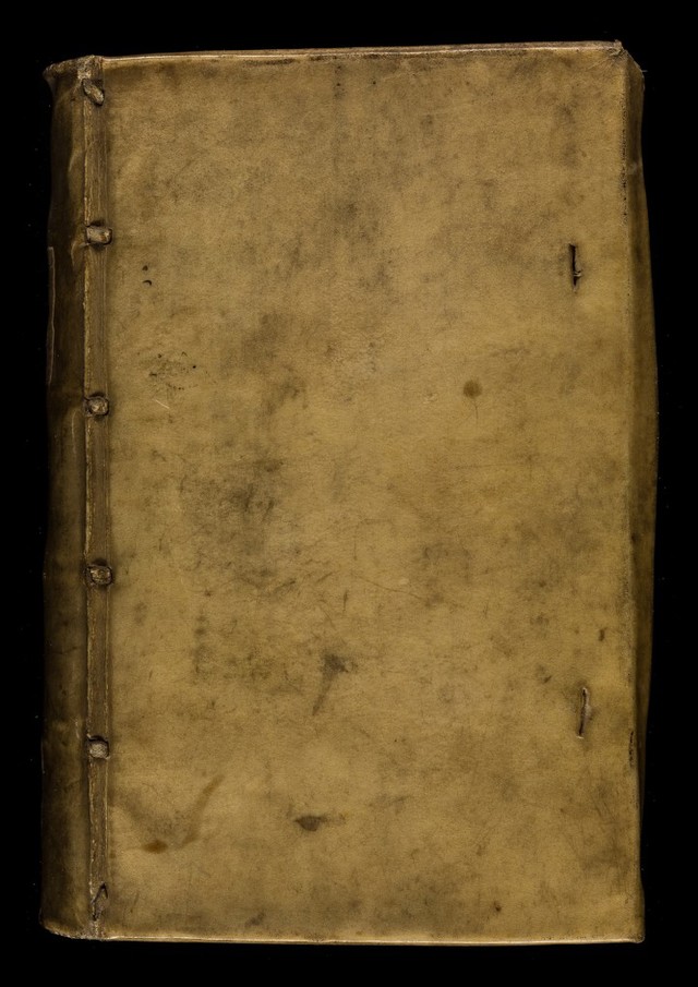 No text description is available for this image