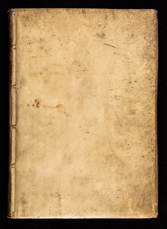 No text description is available for this image