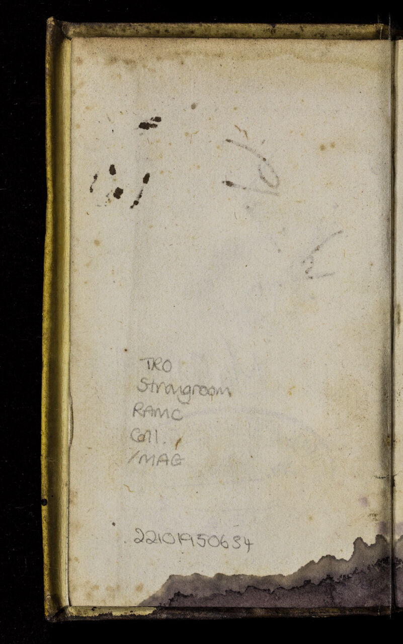 No text description is available for this image