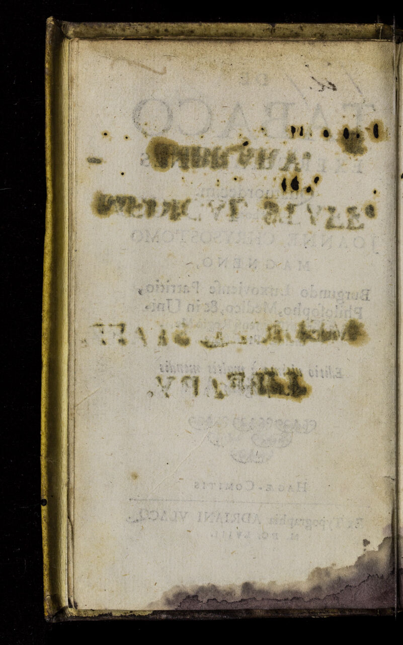 No text description is available for this image