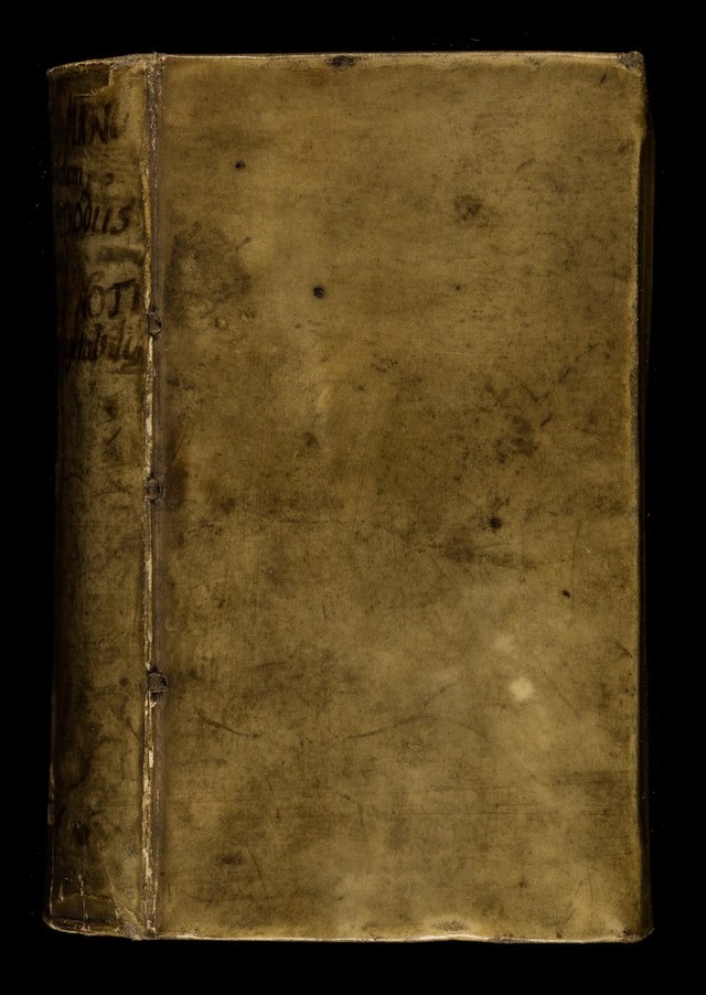 No text description is available for this image