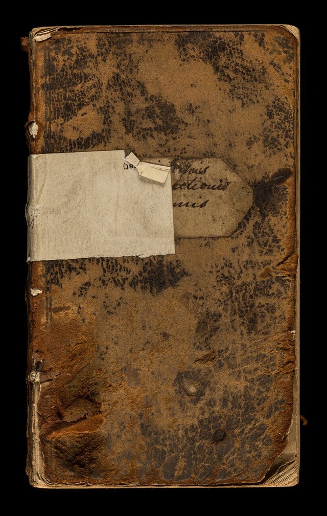 No text description is available for this image