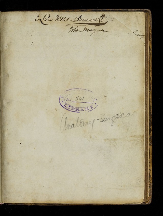 digitised image 3