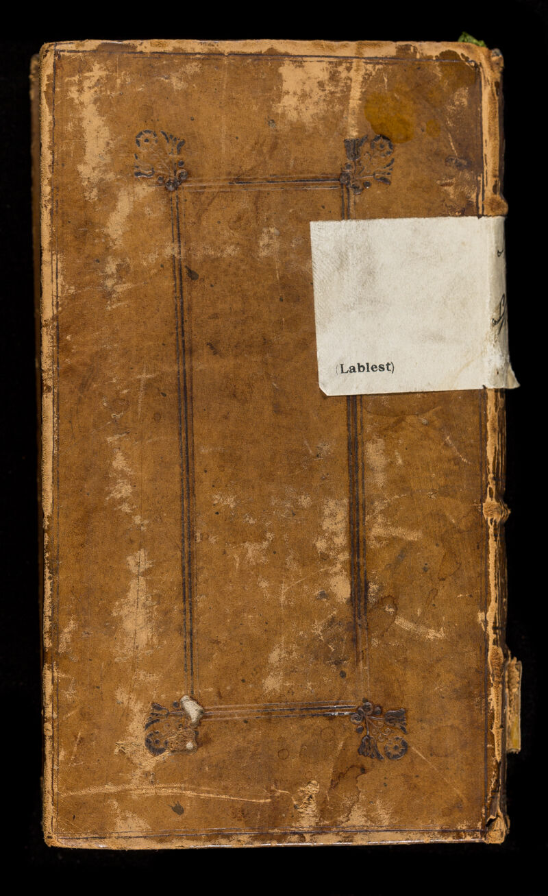 No text description is available for this image