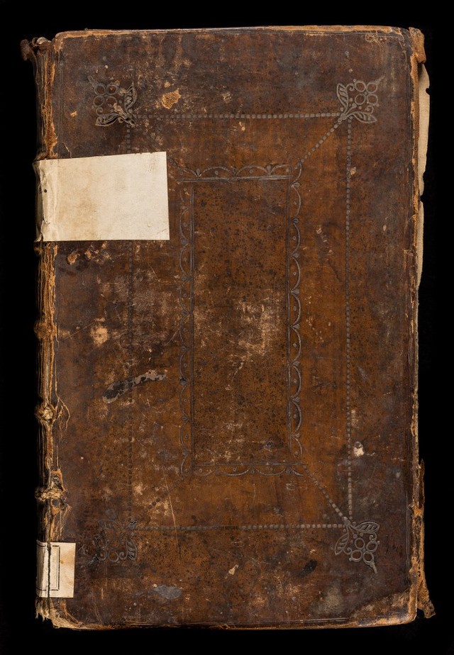 No text description is available for this image