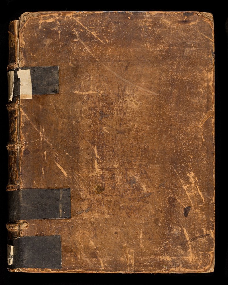 No text description is available for this image