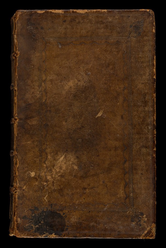 No text description is available for this image