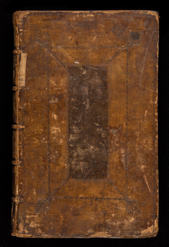 No text description is available for this image