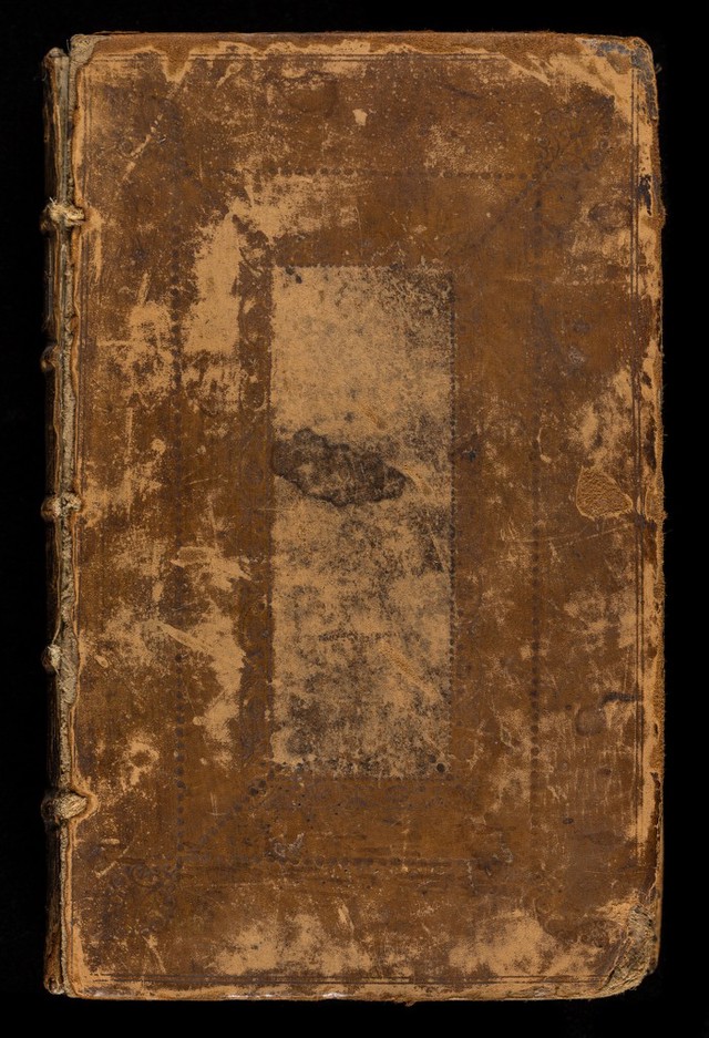 No text description is available for this image