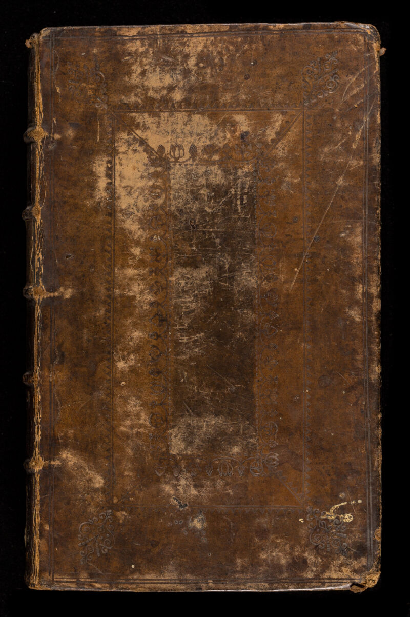 No text description is available for this image