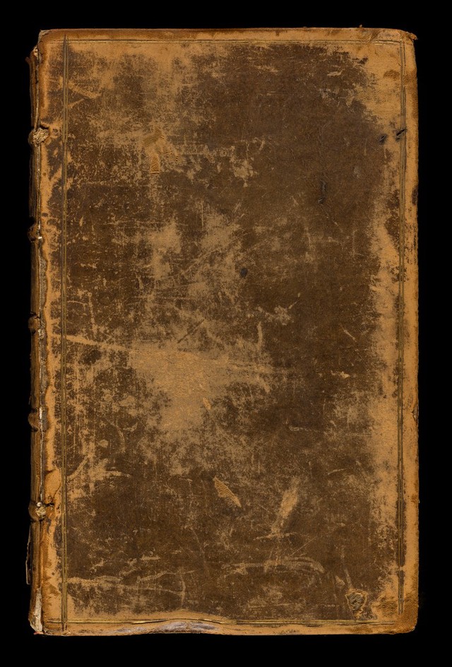 No text description is available for this image