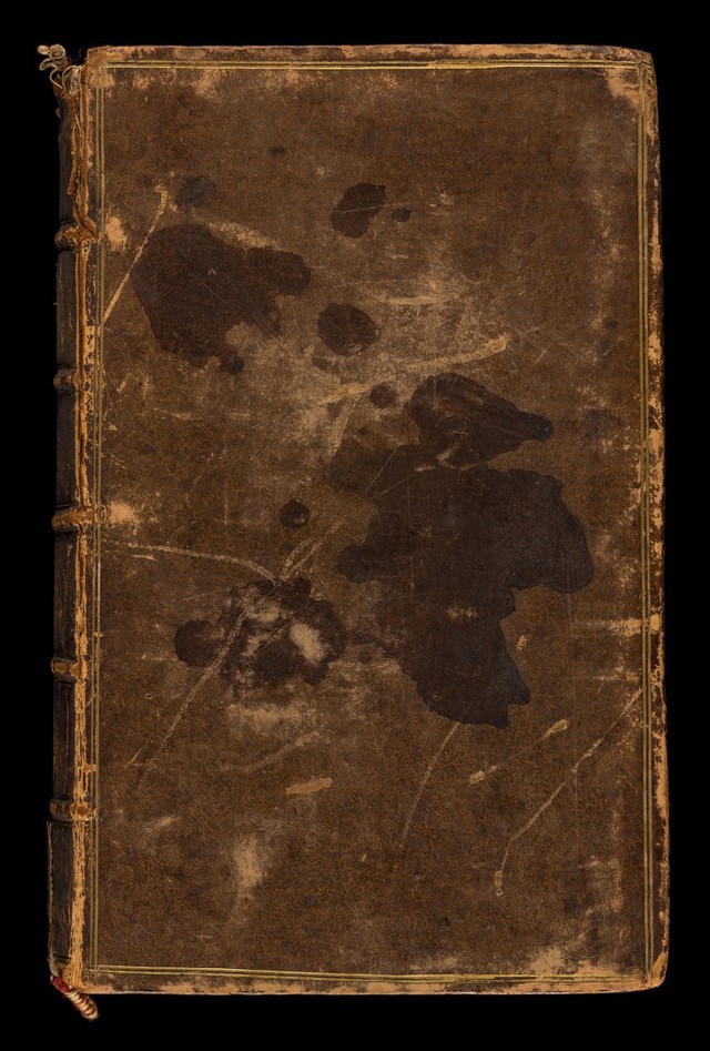 No text description is available for this image