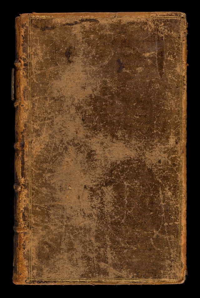 No text description is available for this image