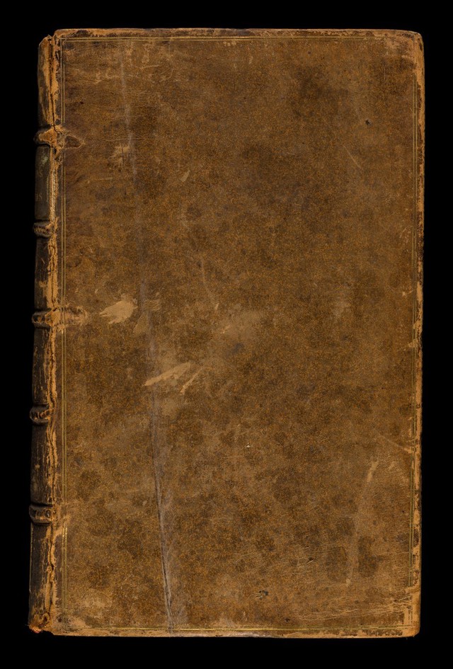 No text description is available for this image