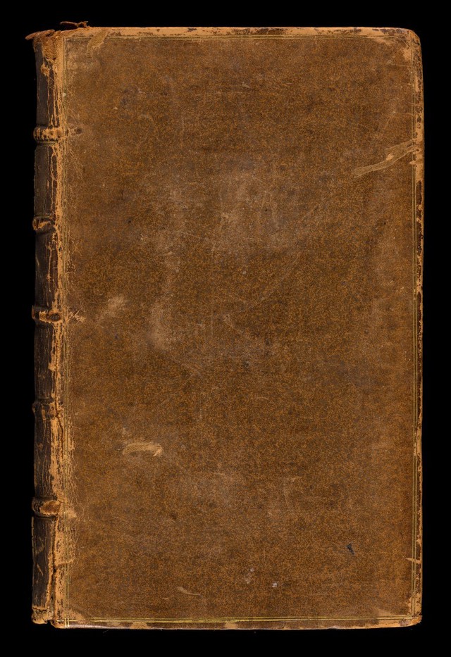 No text description is available for this image