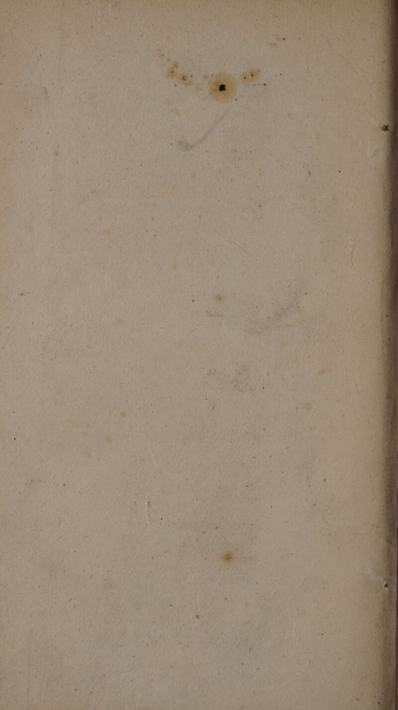 \ at . 2 0 - e 4 - - « . ~ Son : s: 3 a - se Ee » : ’ ; . - - a iW - i > : aga :