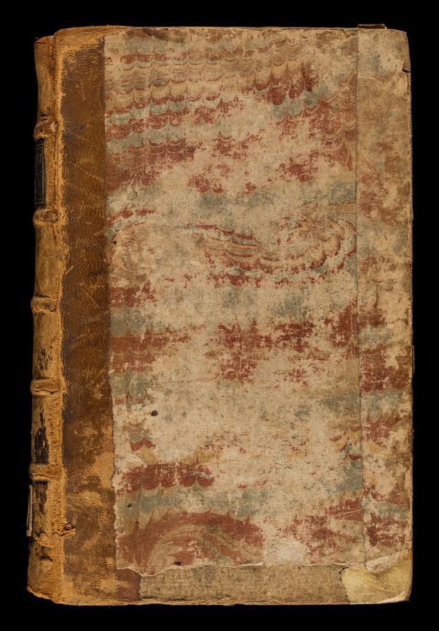 No text description is available for this image