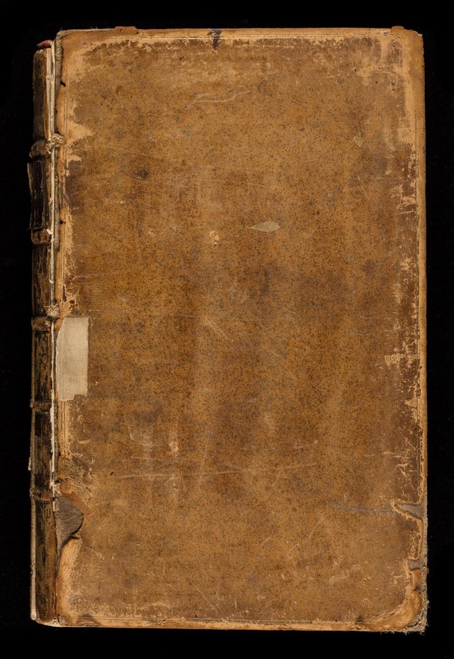 No text description is available for this image